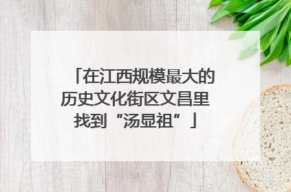 在江西规模最大的历史文化街区文昌里找到“汤显祖”