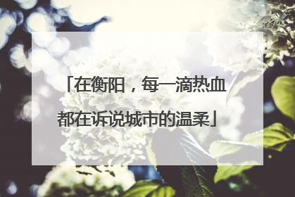 在衡阳，每一滴热血都在诉说城市的温柔