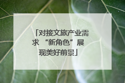 对接文旅产业需求 “新角色”展现美好前景