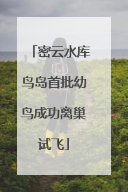 密云水库鸟岛首批幼鸟成功离巢试飞