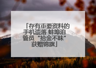 存有重要资料的手机遗落 蚌埠泊管员“拾金不昧”获赠锦旗