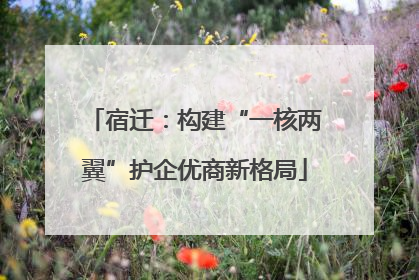 宿迁：构建“一核两翼”护企优商新格局