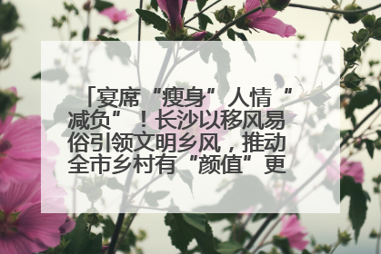 宴席“瘦身”人情“减负”！长沙以移风易俗引领文明乡风，推动全市乡村有“颜值”更显“气质”