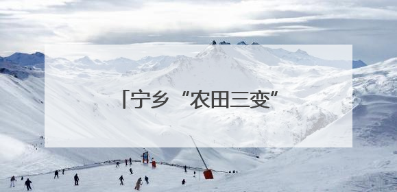 宁乡“农田三变”改革：让种田人尝甜头的致富密码