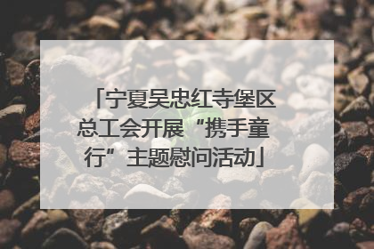 宁夏吴忠红寺堡区总工会开展“携手童行”主题慰问活动