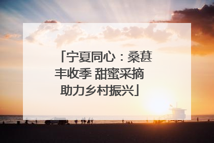 宁夏同心：桑葚丰收季 甜蜜采摘助力乡村振兴