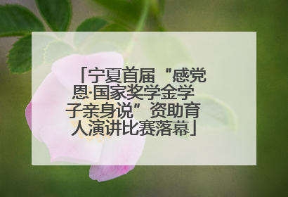 宁夏首届“感党恩·国家奖学金学子亲身说”资助育人演讲比赛落幕