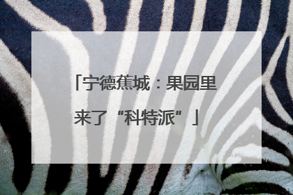 宁德蕉城：果园里来了“科特派”