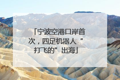 宁波空港口岸首次，四足机器人“打飞的”出海
