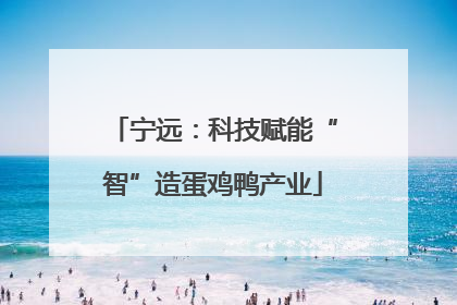 宁远：科技赋能“智”造蛋鸡鸭产业