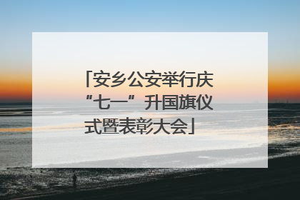 安乡公安举行庆“七一”升国旗仪式暨表彰大会