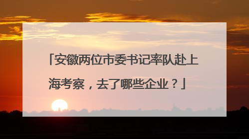 安徽两位市委书记率队赴上海考察，去了哪些企业？