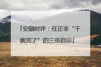 安徽时评：任正非“干就完了”的三重启示