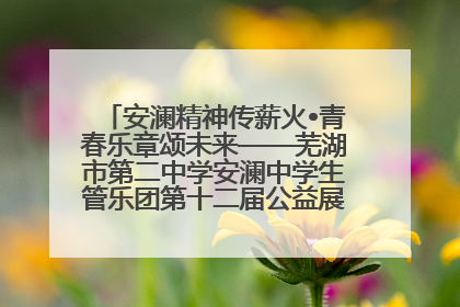 安澜精神传薪火•青春乐章颂未来——芜湖市第二中学安澜中学生管乐团第十二届公益展演圆满举行