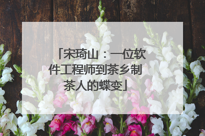 宋琦山：一位软件工程师到茶乡制茶人的蝶变
