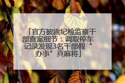 官方披露纪检监察干部查案细节：调取停车记录发现3名干部假“办事”真麻将
