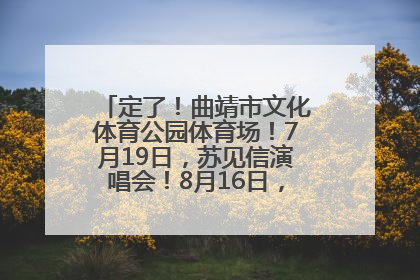 定了！曲靖市文化体育公园体育场！7月19日，苏见信演唱会！8月16日，萧敬腾演唱会！