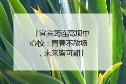 宜宾筠连蒿坝中心校：青春不散场，未来皆可期
