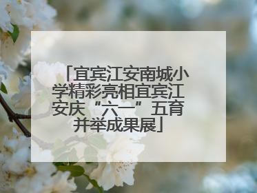 宜宾江安南城小学精彩亮相宜宾江安庆“六一”五育并举成果展