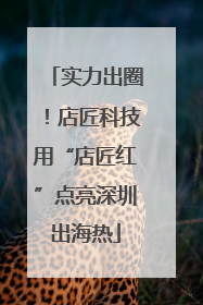 实力出圈！店匠科技用“店匠红”点亮深圳出海热