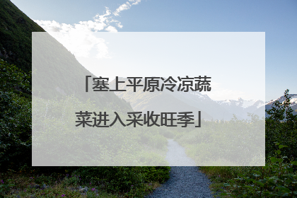 塞上平原冷凉蔬菜进入采收旺季