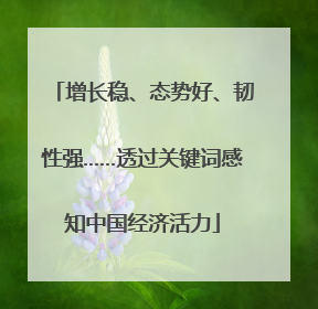 增长稳、态势好、韧性强……透过关键词感知中国经济活力