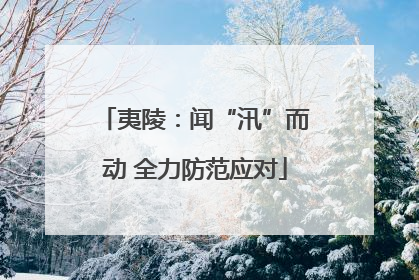 夷陵：闻“汛”而动 全力防范应对