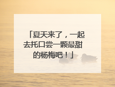 夏天来了，一起去托口尝一颗最甜的杨梅吧！