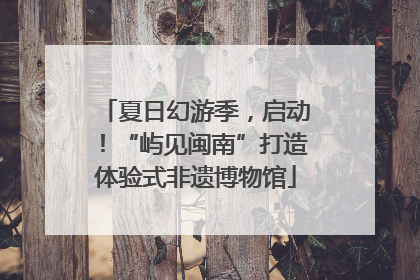 夏日幻游季，启动！“屿见闽南”打造体验式非遗博物馆