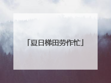 夏日梯田劳作忙