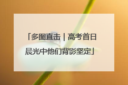 多图直击｜高考首日 晨光中他们背影坚定