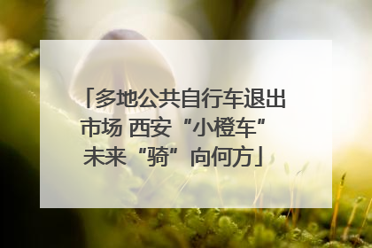 多地公共自行车退出市场 西安“小橙车”未来“骑”向何方