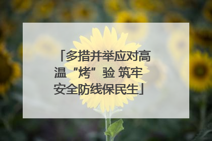 多措并举应对高温“烤”验 筑牢安全防线保民生