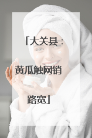大关县：黄瓜触网销路宽