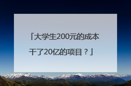 大学生200元的成本干了20亿的项目？