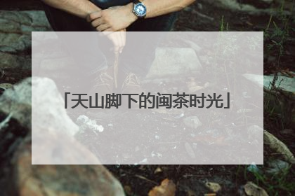 天山脚下的闽茶时光