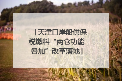 天津口岸船供保税燃料“两仓功能叠加”改革落地