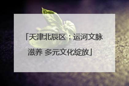 天津北辰区：运河文脉滋养 多元文化绽放