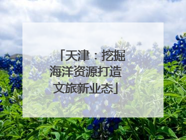 天津：挖掘海洋资源打造文旅新业态