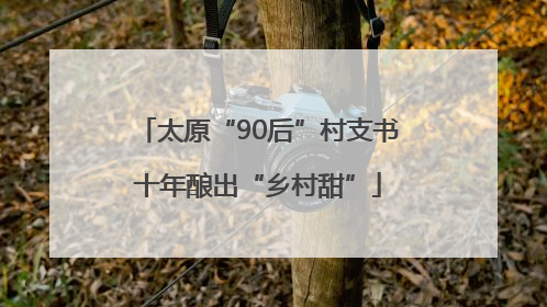 太原“90后”村支书十年酿出“乡村甜”