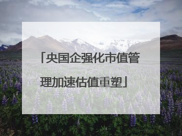 央国企强化市值管理加速估值重塑