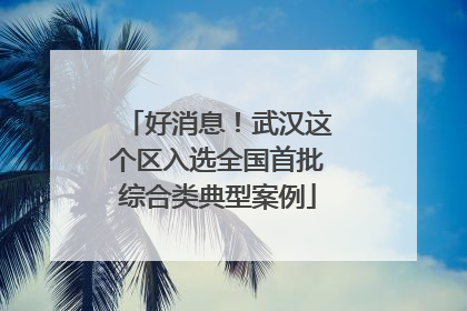 好消息！武汉这个区入选全国首批综合类典型案例