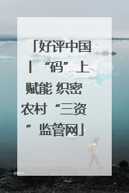 好评中国丨“码”上赋能 织密农村“三资”监管网