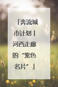 奔流城市计划丨河西走廊的“紫色名片”