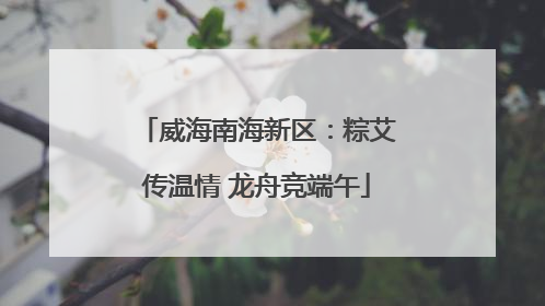 威海南海新区：粽艾传温情 龙舟竞端午