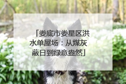 娄底市娄星区洪水单屋场：从煤灰蔽日到绿意盎然
