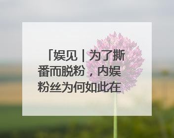 娱见｜为了撕番而脱粉，内娱粉丝为何如此在乎番位