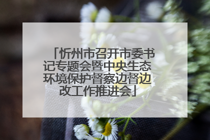 忻州市召开市委书记专题会暨中央生态环境保护督察边督边改工作推进会