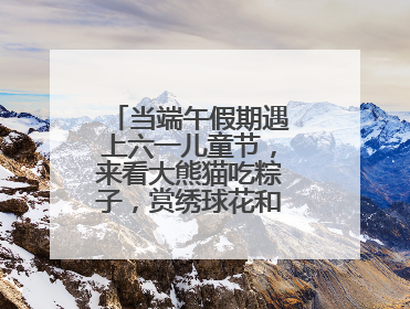 当端午假期遇上六一儿童节，来看大熊猫吃粽子，赏绣球花和马鞭草花海