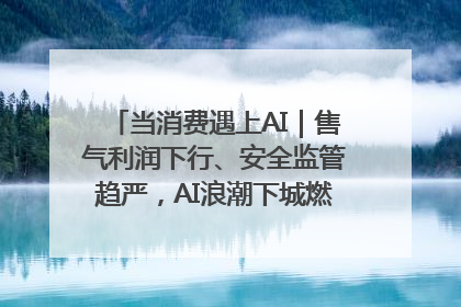 当消费遇上AI｜售气利润下行、安全监管趋严，AI浪潮下城燃企业如何破局